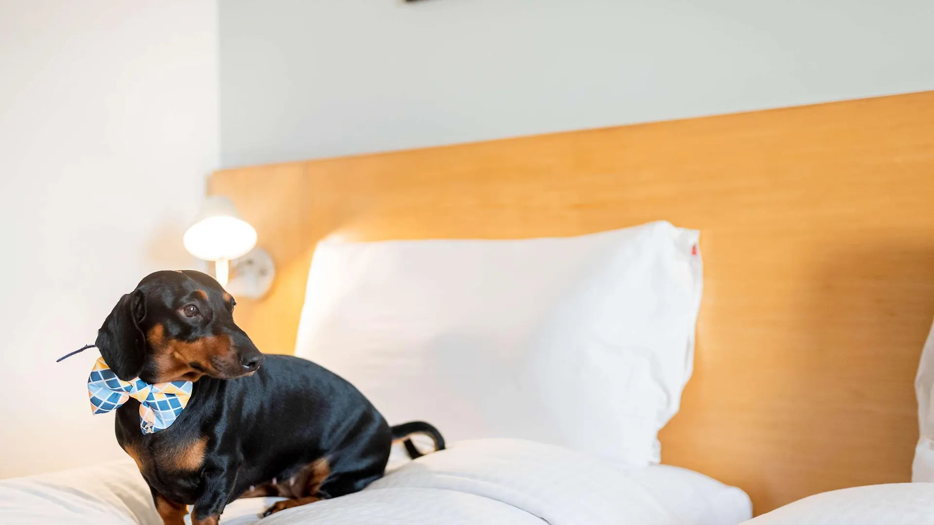 Ibis New Delhi Aerocity - An Accor Brand Hotel